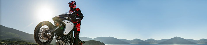 mrs-enduro-cat